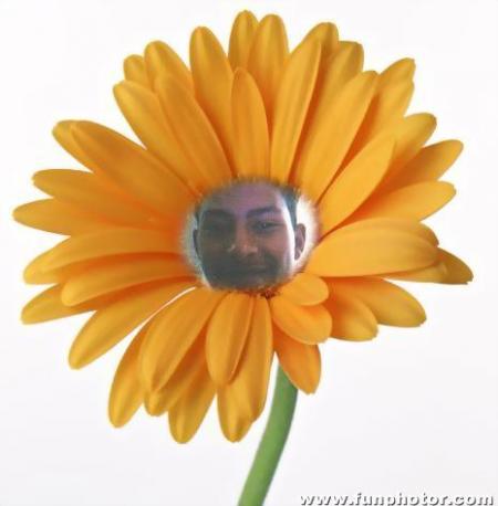 fleur